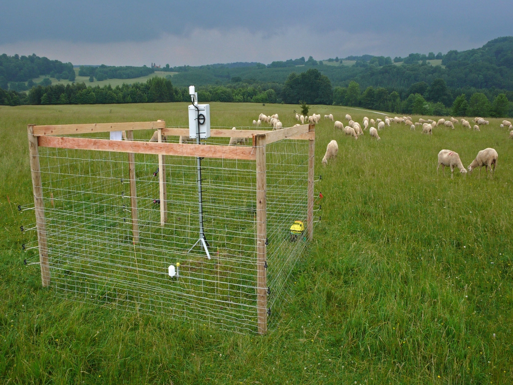 (Biodiversitätsexploratorien; Fellendorf)